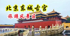 无毛嫩b中国北京-东城古宫旅游风景区